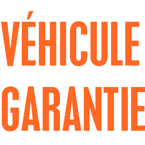 Véhicule garantie par des pro