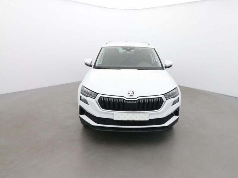 Skoda Karoq 2.0 tdi 115ch selection