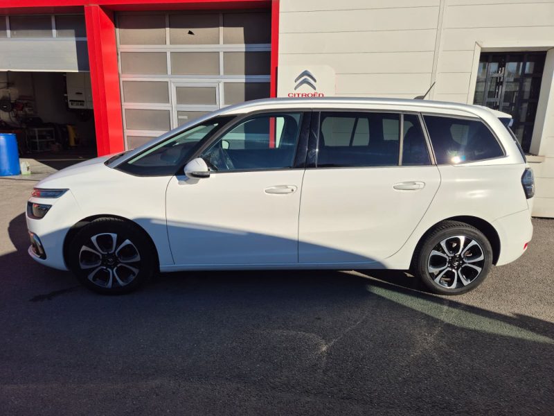 CITROEN C4 GRAND PICASSO  BLUEHDI 130 S&S BVM6 FEEL 2019