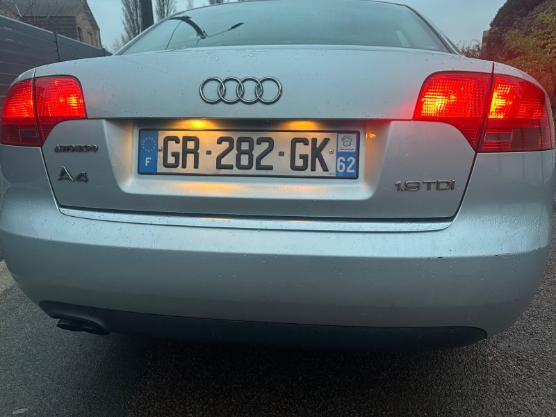 AUDI A4 (8EC, B7)  2007