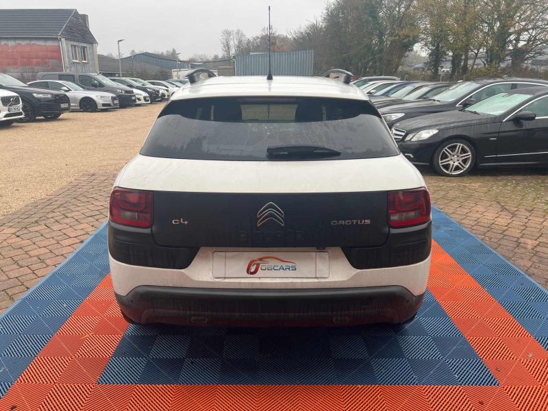CITROEN C4 CACTUS BLUEHDI 1.6 BlueHDi 99 cv
