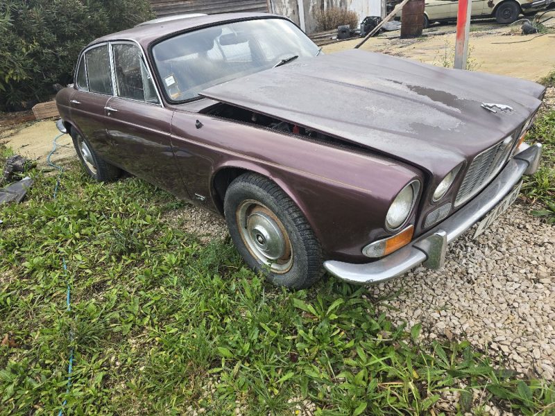 JAGUAR   1969