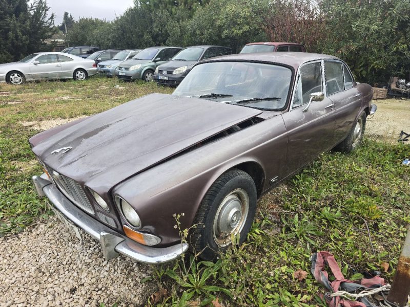 JAGUAR   1969