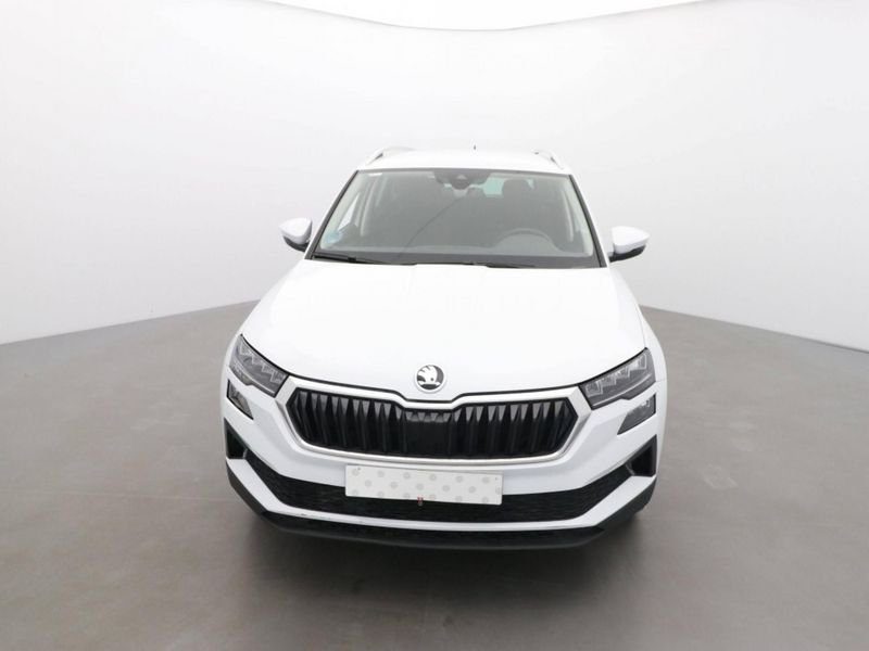 Skoda Karoq 2.0 tdi 115ch selection