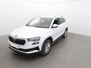Skoda Karoq 2.0 tdi 115ch selection