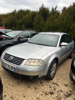 VOLKSWAGEN PASSAT 2.5 TDI - V6 TURBO 4 MOTION 