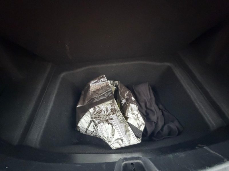 TESLA MODEL 3 STANDARD RWD PLUS MY21 2021