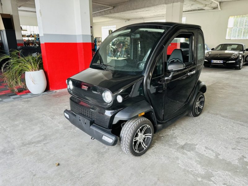 LUQI EV300-M1  2024