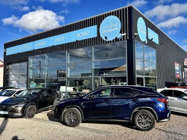 LEXUS RX 450h Awd F-Sport Executive 06/2018