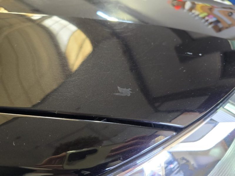 AUDI Q7 3.0 V6 TDI 218Cv S-LINE-QUATTRO-7 PLACES-ENTRETIEN COMPLET AUDI