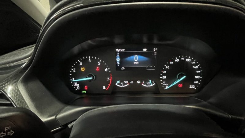 PUMA II 1.0 FLEXIFUEL 125 TITANIUM DESIGN 2 1er MAIN ENTRETIEN FORD 