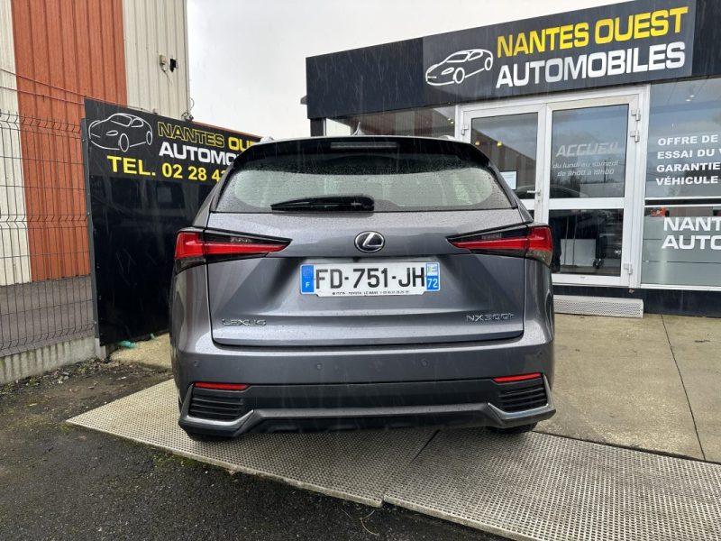 LEXUS NX300H 300H 2WD BUSINESS 