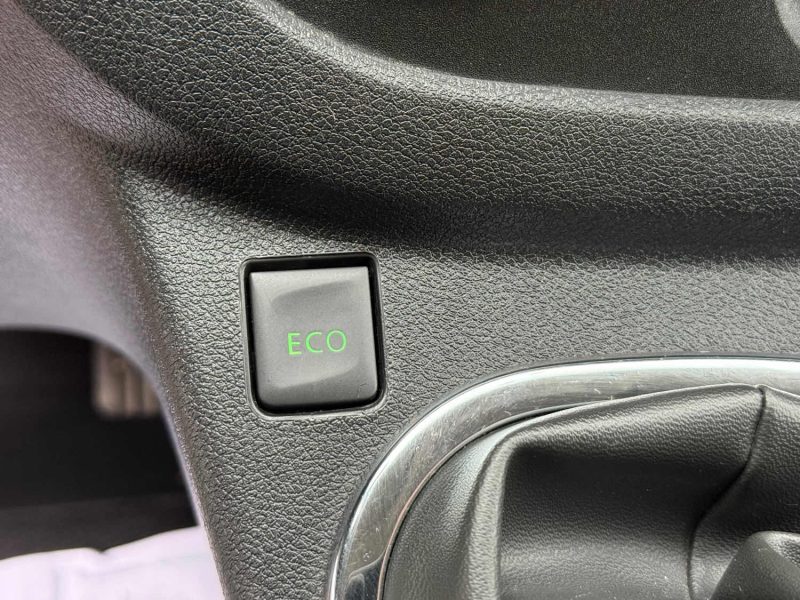 RENAULT Trafic 3 L2H2 1200 1.6 dCi 145 ch Confort / ATTELAGE / GALERIE DE TOIT 