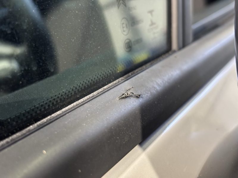 CITROEN C3 AIRCR. PURETECH 130CH S&S SHINE 1er MAIN / ENTRETIEN COMPLET CONSTRUCTEUR 