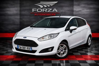 FORD FIESTA 1.0 ECOBOOST 100CH STOP&START TREND 3P 2013