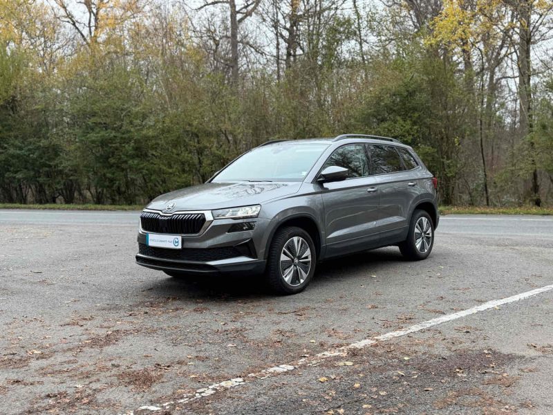 SKODA KAROQ 2.0 TDI 116CH  AMBITION DSG 2023