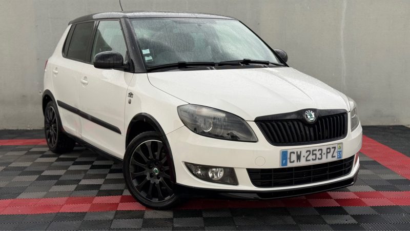 SKODA FABIA SKODA FABIA 1.6 TDI 90 CV MONTE CARLO  2013