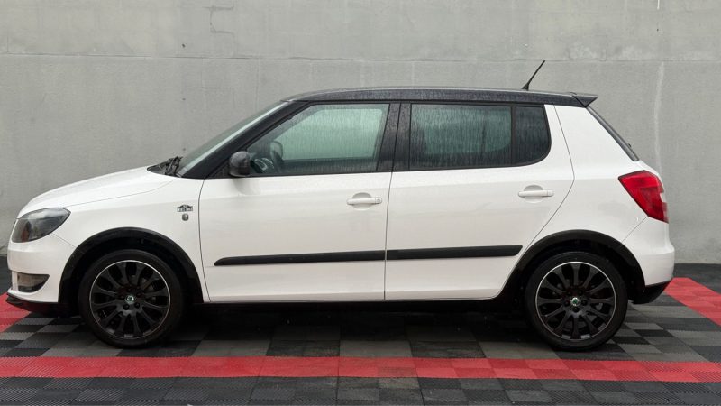 SKODA FABIA SKODA FABIA 1.6 TDI 90 CV MONTE CARLO  2013