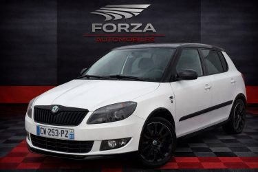 SKODA FABIA SKODA FABIA 1.6 TDI 90 CV MONTE CARLO  2013