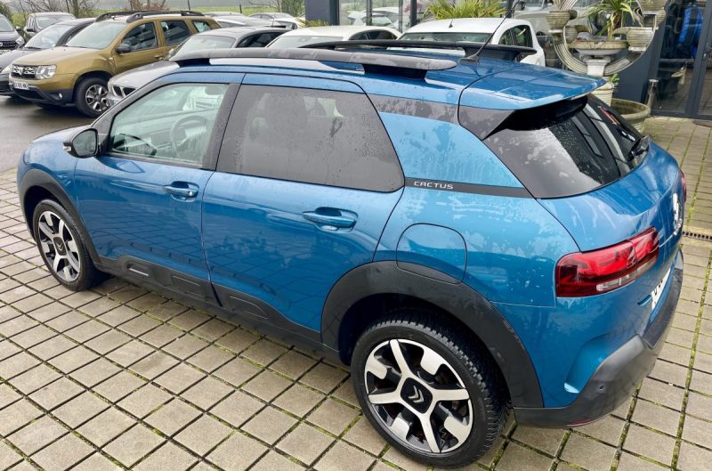 CITROEN C4 CACTUS  1.6 130CH S&S SHINE BUSINESS E6.D-TEMP 2019