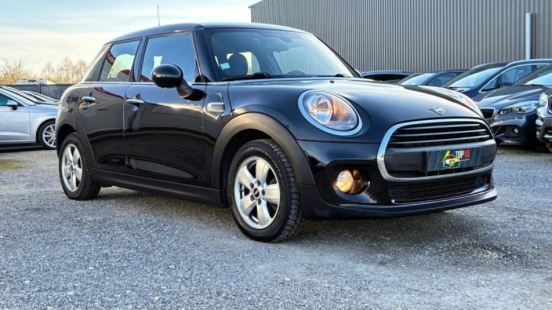 Mini One 1.5d 95ch Pack Salt