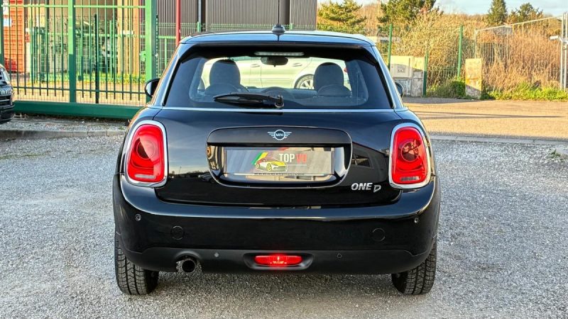 Mini One 1.5d 95ch Pack Salt