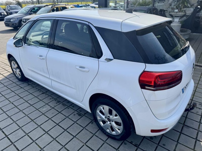 CITROEN C4 BLUEHDI 130CH S&S SHINE EAT8 FEEL E6.D-TEMP  2019