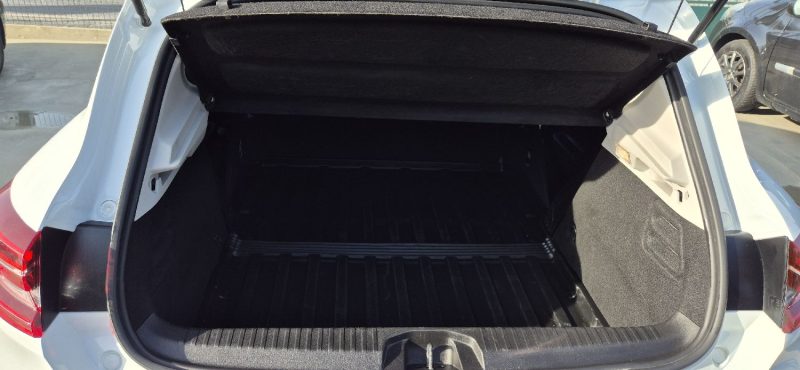 RENAULT CLIO 5 SOCIETE SCE 65 AIR NAV 2021