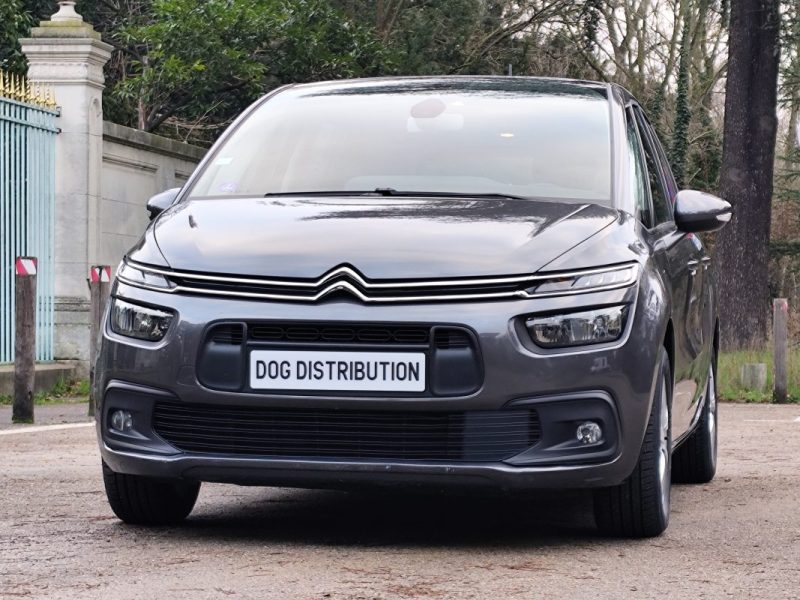 CITROEN C4 SPACETOURER PURETECH 130CH S&S BUSINESS EAT8 7CV 2020