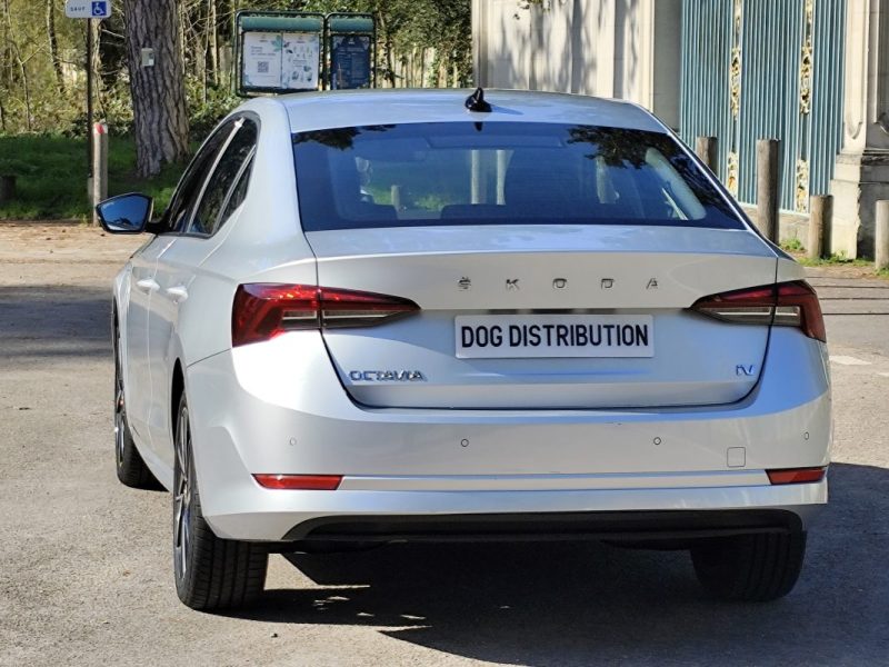SKODA OCTAV.IV 1.4 TSI PHEV IV 204CH BUSINESS DSG6E EURO6D-AP 2021