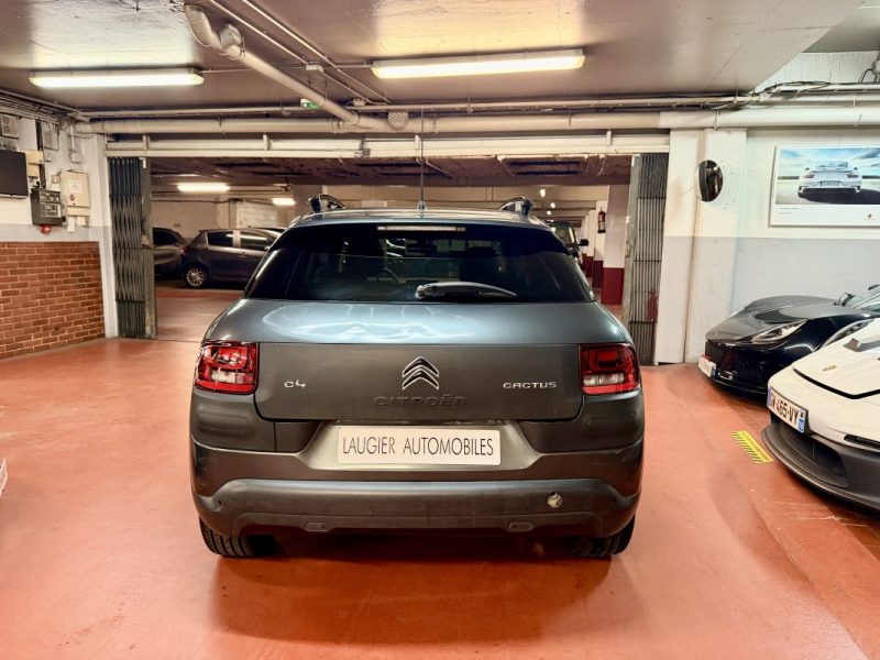 CITROEN C4 CACTUS PURETECH 110 SHINE S&S 2016