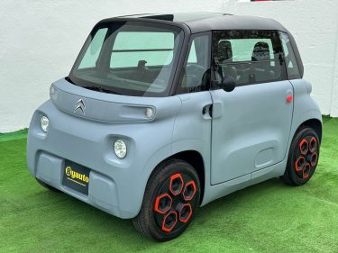 CITROEN AMI ELECTRIQUE SANS PERMIS A PARTIR 14 ANS GARANTIE 12 MOIS  