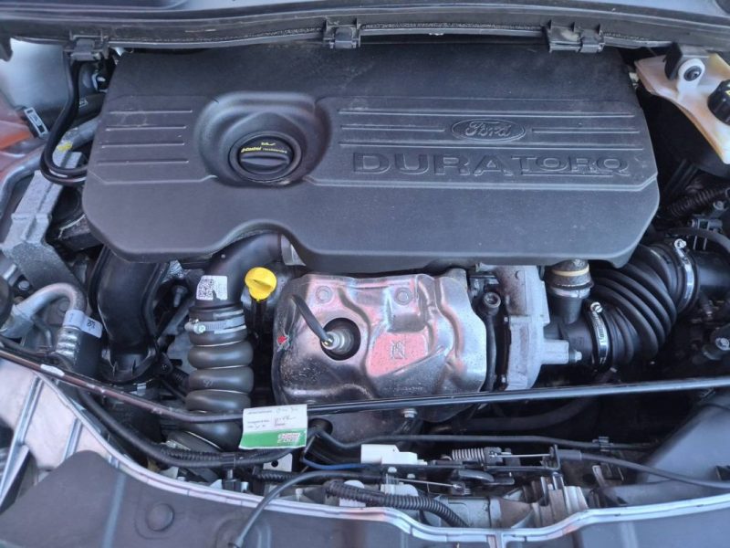 FORD KUGA 1.5 TDI 120 S&S 4X2 POWERSHIFT BUSINESS EDITION  2019