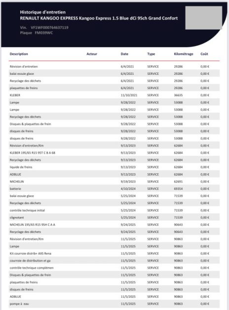 RENAULT KANGOO 2 1.5 BLUEDCI 95CH GPS CAMÉRA DISTRIBUTION NEUVE 2019
