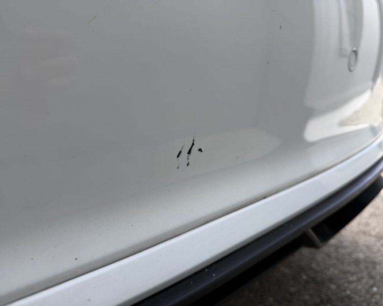 FORD Focus diesel 85ch ST-Line Business 2019 - CarPlay - ST LINE SPORT