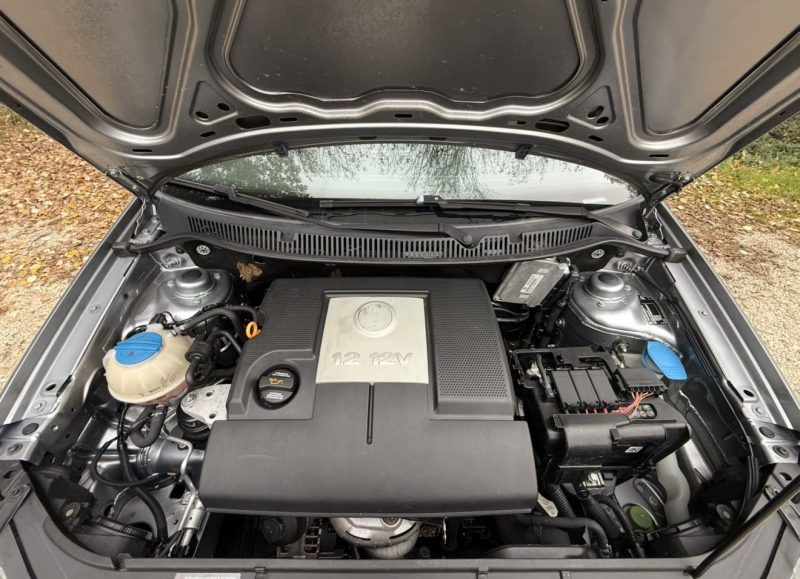 VOLKSWAGEN POLO 1.2I 12V 64 TREND 3P 2006