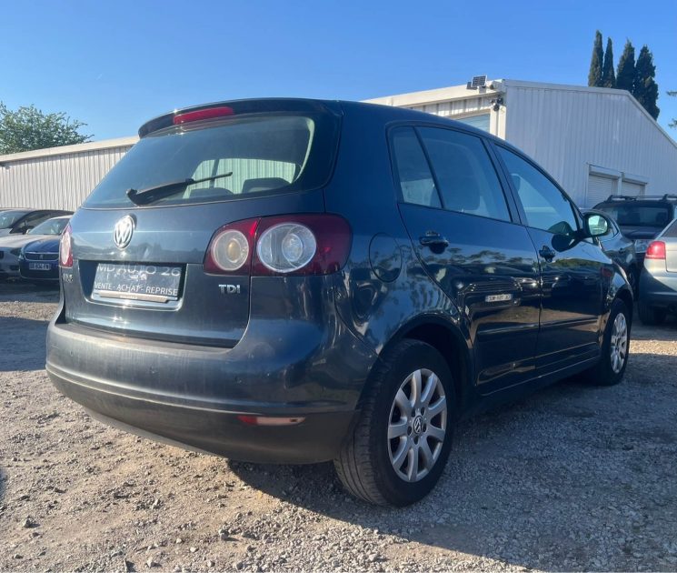 Volkswagen Golf 5 1.9 Tdi 105 Ch 