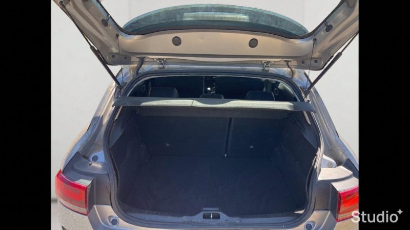 CITROEN C4 CACTUS BLUEHDI 100 ch SHINE 2018