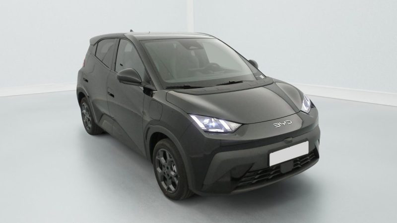 BYD DOLPHIN SURF  43.2 KWH 156 CH COMFORT AUTONOMIE 460 2025