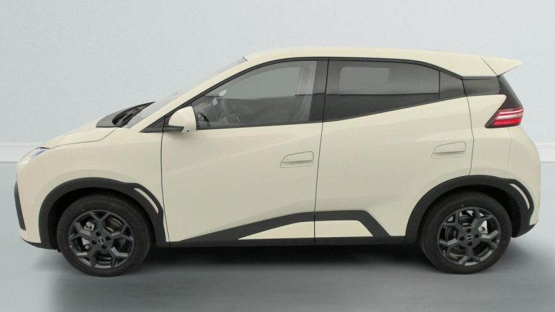 BYD DOLPHIN SURF  43.2 KWH 156 CH COMFORT AUTONOMIE 460 2025