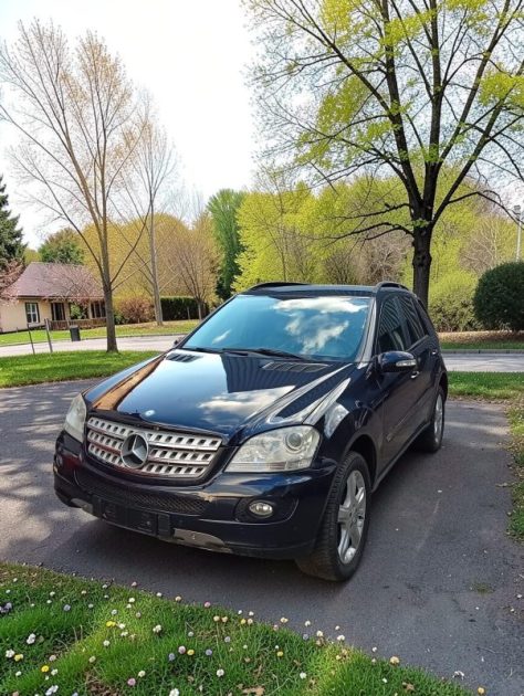 MERCEDES-BENZ ML 420 CDI  2007