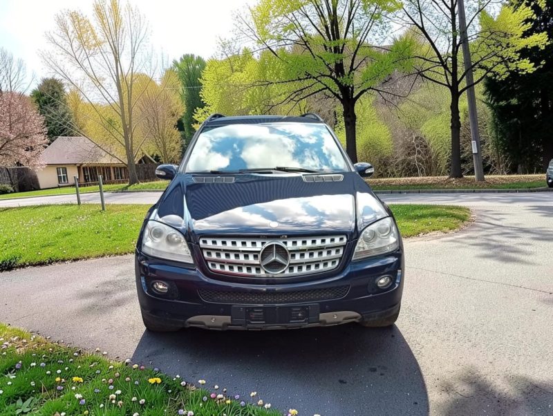 MERCEDES-BENZ ML 420 CDI  2007
