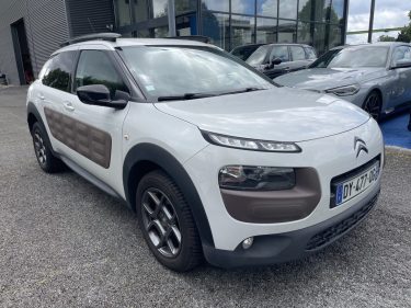 CITROEN C4 CACTUS PURETECH 110 SHINE 