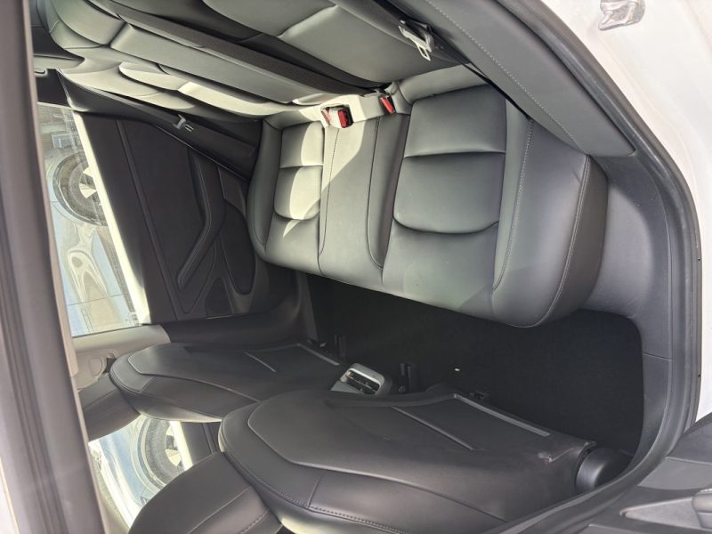 TESLA MODEL 3 STANDARD RWD PLUS MY21 2021