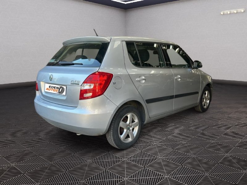SKODA 1.4 TDI GREENLINE 80 CV TDI  2009