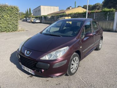 PEUGEOT 307 OXYGO 1.6HDI 110CV PREMIERE CT OK CLIM GARANTIE 