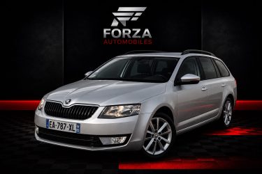 SKODA OCTAVIA BREAK  1.6 TDI 110 CV 4X4X STYLE BREAK  2016