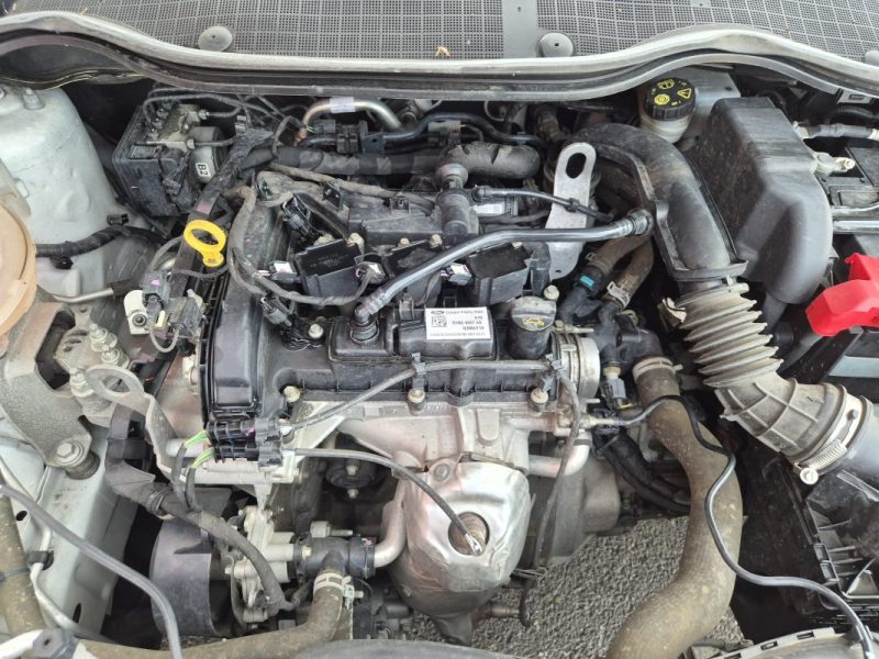 FORD FIESTAVII 1.0 ECOBOOST 100 CH S&S BVA6 COOL & CONNECT 2019