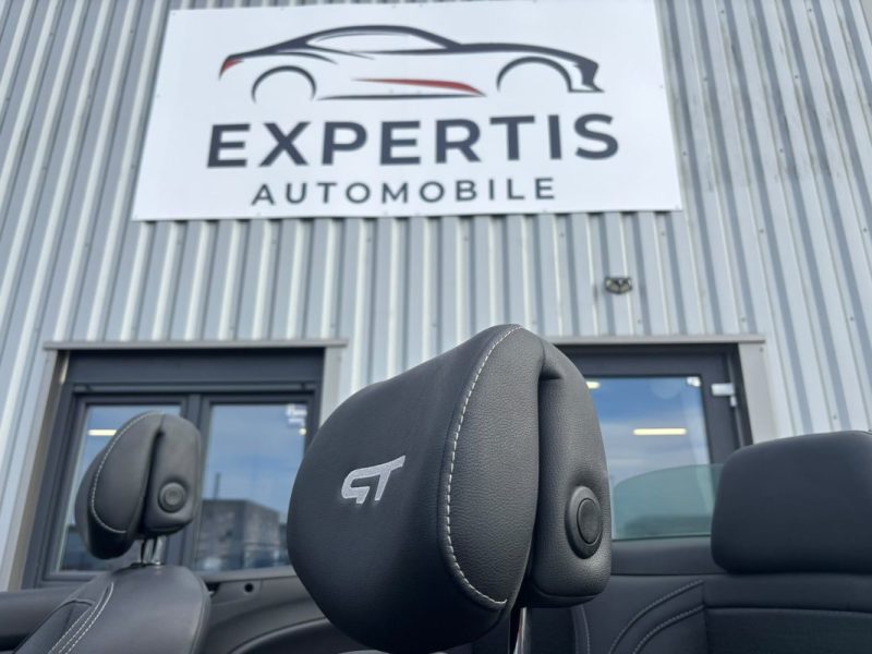 RENAULT MEGANE III GT 2.0 TCe 180 CHASSIS SPORT SPECIFIQUE