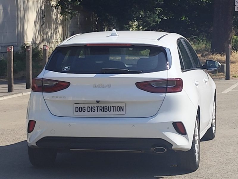 KIA CEED 1.0 T-GDI 120 MOTION 2023